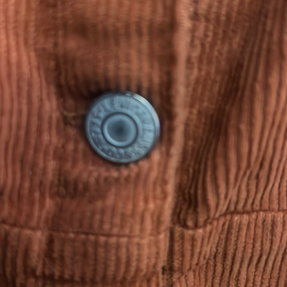 Levi corduroy dress